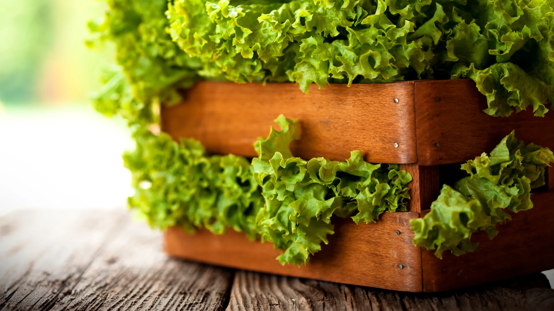 A wooden crate of seasonal harvest vegetables in soft natural light